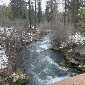 Meet your Posher, Ryeley